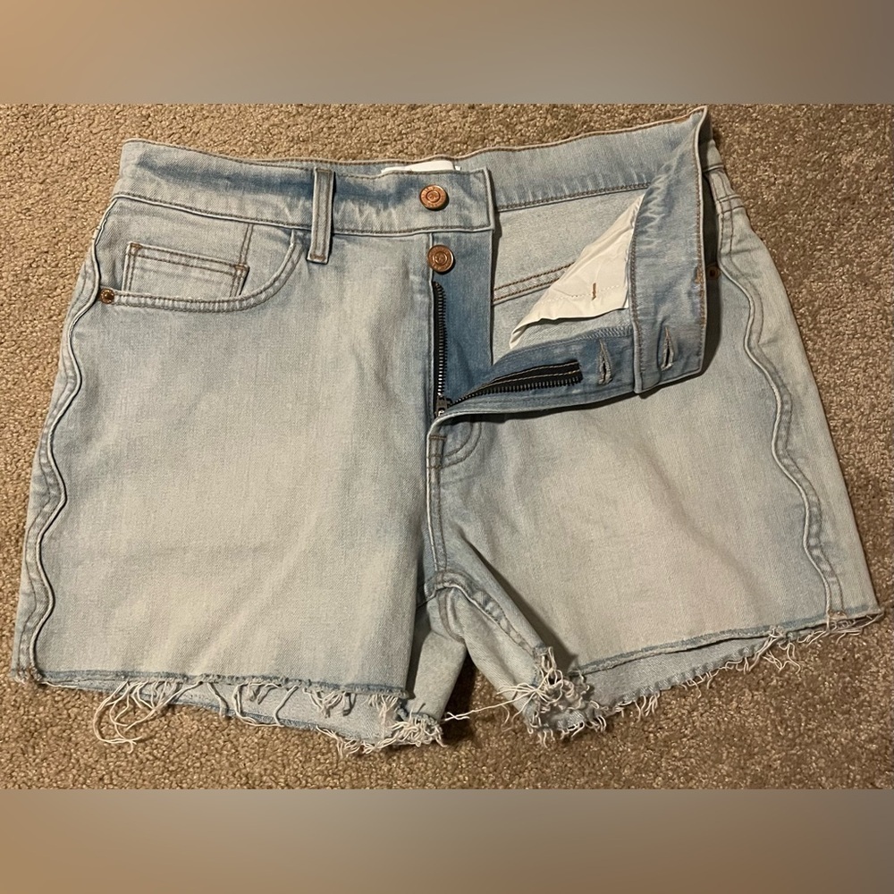 Current/Elliot Iris Aficionado Short Size 27